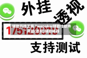 辅助开挂工具“wepoker辅助挂软件”开挂(透视)辅助神器