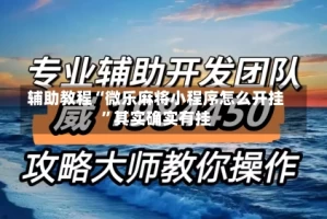 辅助教程“微乐麻将小程序怎么开挂”其实确实有挂