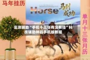 实测辅助“手机十三张有没有挂”科技辅助神器手机版教程