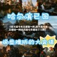 【哈尔滨今天又增加一例,哈尔滨今天又增加一例哈尔滨今天增加了几例】