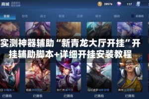 实测神器辅助“新青龙大厅开挂”开挂辅助脚本+详细开挂安装教程