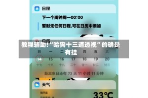 教程辅助!“哈狗十三道透视”的确是有挂