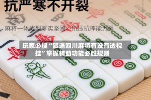 玩家必搜“旅途四川麻将有没有透视挂”掌握辅助功能必胜规则