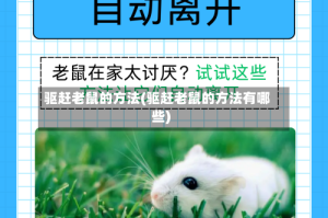 驱赶老鼠的方法(驱赶老鼠的方法有哪些)