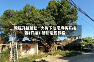 教程开挂辅助“大树下汕尾麻将开挂器(开挂)-辅助透视教程