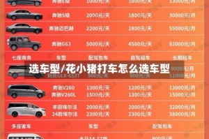 选车型/花小猪打车怎么选车型