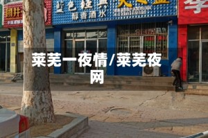 莱芜一夜情/莱芜夜网
