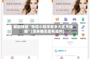 辅助神器“微信小程序家乡大贰开挂器”(原来确实是有插件)