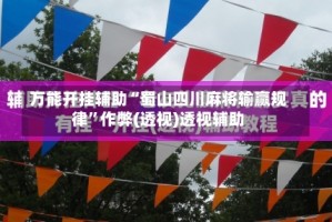 万能开挂辅助“蜀山四川麻将输赢规律”作弊(透视)透视辅助