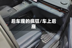 后车座的疯狂/车上后座