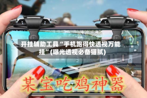 开挂辅助工具“手机跑得快透视万能挂”(曝光透视必备猫腻)