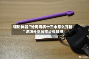 辅助神器“沧海麻将十三水怎么开挂”详细分享装挂步骤教程