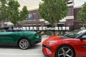 lotus跑车费用/莲花lotus跑车费用