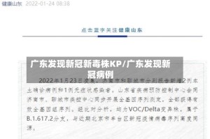 广东发现新冠新毒株KP/广东发现新冠病例