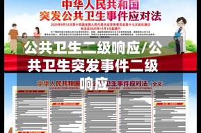 公共卫生二级响应/公共卫生突发事件二级响应
