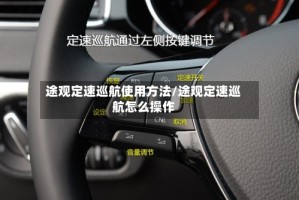 途观定速巡航使用方法/途观定速巡航怎么操作