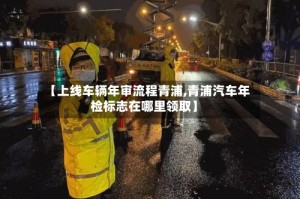 【上线车辆年审流程青浦,青浦汽车年检标志在哪里领取】