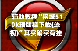 辅助教程“榕城510k辅助挂下载(透视)”其实确实有挂