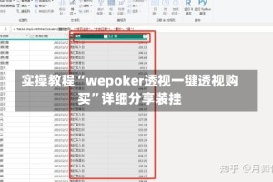 实操教程“wepoker透视一键透视购买”详细分享装挂