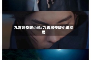 九霄寒夜暖小说/九霄寒夜暖小说结局