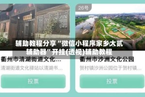 辅助教程分享“微信小程序家乡大贰辅助器”开挂(透视)辅助教程