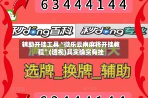 辅助开挂工具“微乐云南麻将开挂教程”(透视)其实确实有挂