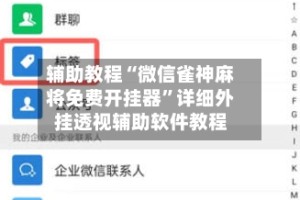辅助教程“微信雀神麻将免费开挂器”详细外挂透视辅助软件教程