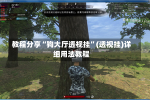 教程分享“狗大厅透视挂”(透视挂)详细用法教程