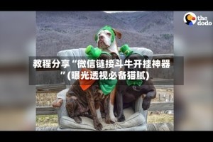 教程分享“微信链接斗牛开挂神器”(曝光透视必备猫腻)