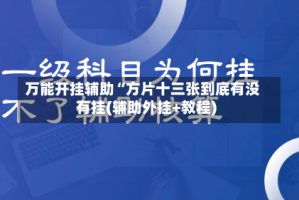 万能开挂辅助“方片十三张到底有没有挂(辅助外挂+教程)