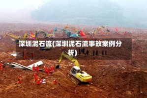 深圳泥石流(深圳泥石流事故案例分析)