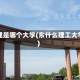 东理是哪个大学(东什么理工大学)
