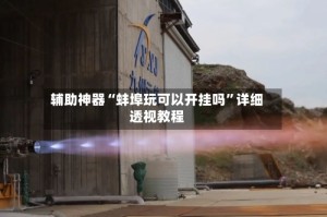 辅助神器“蚌埠玩可以开挂吗”详细透视教程