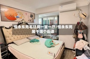 恒永东苑毛坯房一室一厅/恒永东苑属于哪个街道