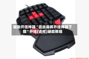 辅助开挂神器“血战麻将开挂神器下载”开挂(透视)辅助教程