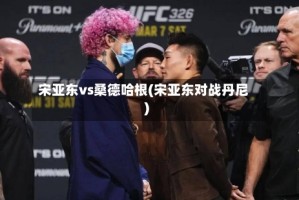 宋亚东vs桑德哈根(宋亚东对战丹尼)