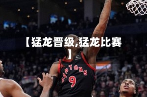 【猛龙晋级,猛龙比赛】