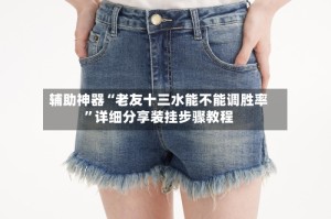 辅助神器“老友十三水能不能调胜率”详细分享装挂步骤教程