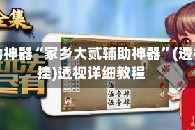 辅助神器“家乡大贰辅助神器”(透视挂)透视详细教程