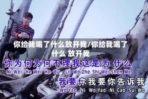 你给我喝了什么放开我/你给我喝了什么 放开我