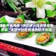 辅助开挂神器“微信拼三张透视挂免费版”详细外挂透视辅助软件教程