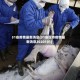 31省疫情最新消息(31省区市疫情最新消息2020101)