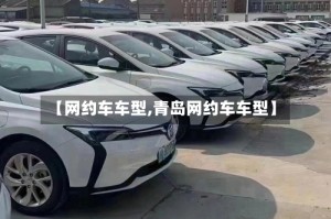 【网约车车型,青岛网约车车型】