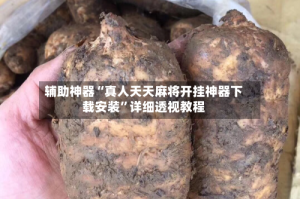 辅助神器“真人天天麻将开挂神器下载安装”详细透视教程