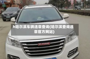 h哈尔滨车辆违章查询(哈尔滨查询违章官方网站)