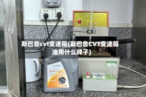斯巴鲁cvt变速箱(斯巴鲁CVT变速箱油用什么牌子)