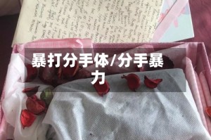 暴打分手体/分手暴力
