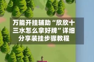 万能开挂辅助“欣欣十三水怎么拿好牌”详细分享装挂步骤教程