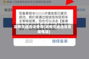 湖南交通违法查询(湖南交通违章查询电话)