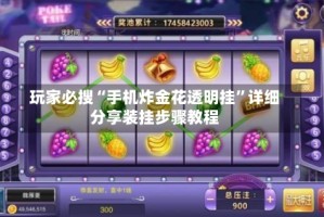 玩家必搜“手机炸金花透明挂”详细分享装挂步骤教程